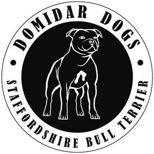 Domidar Dogs